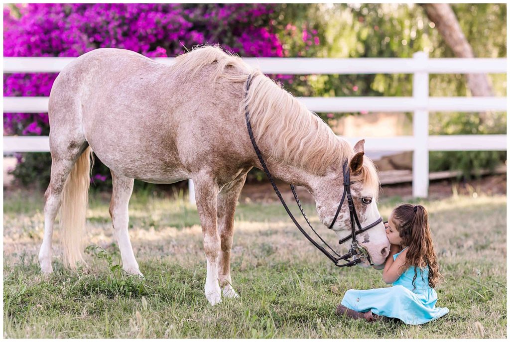 Heartland Ranch Ponies Family Photo Session