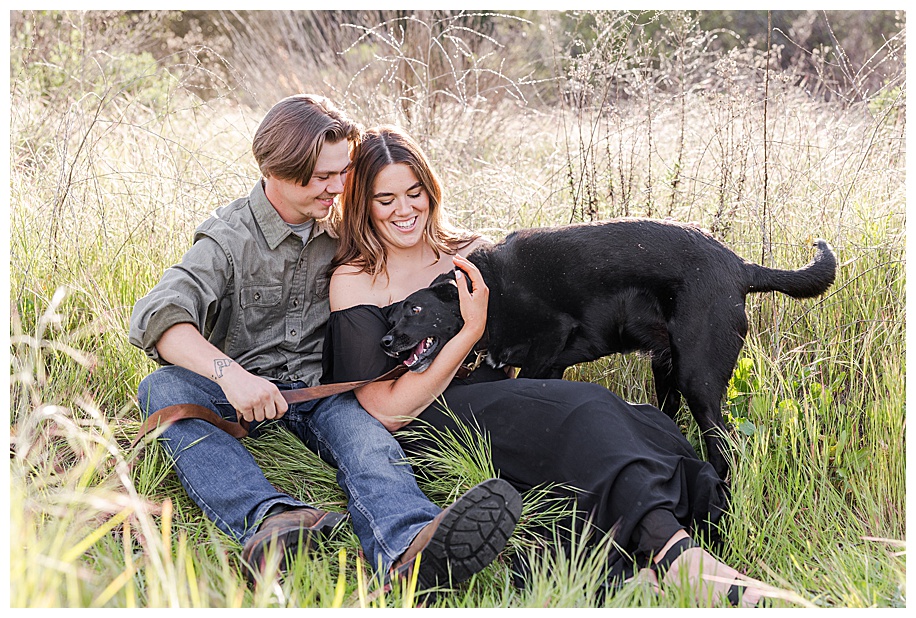 couple playing with their dog in tall glowing grass
