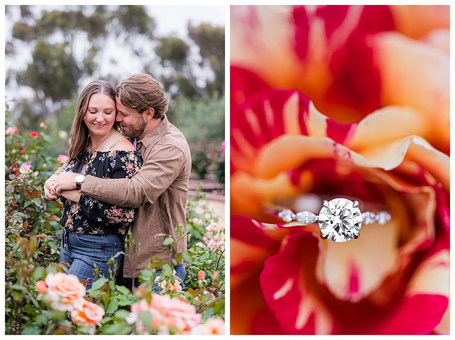 Couple hugging in rose garden and engagement ring in rose