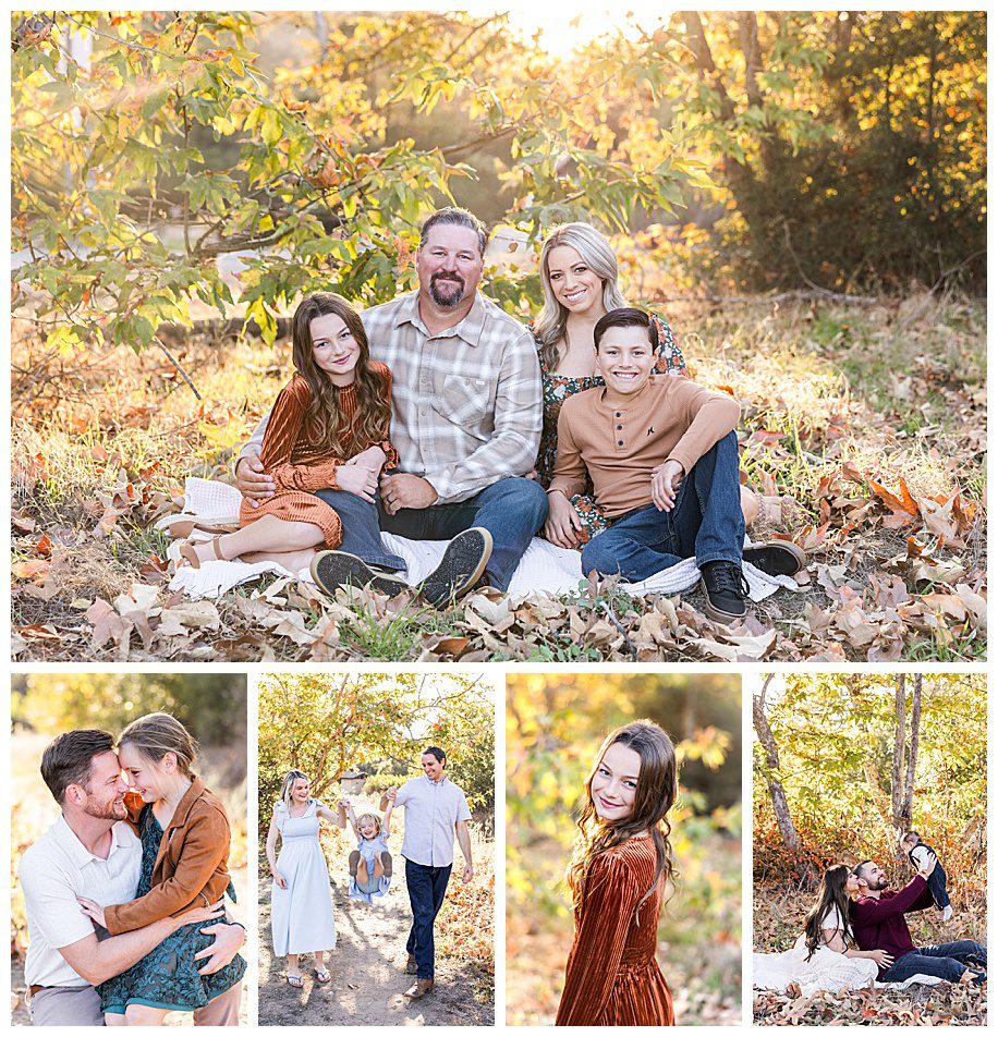 Marian Bear Mini Sessions collage