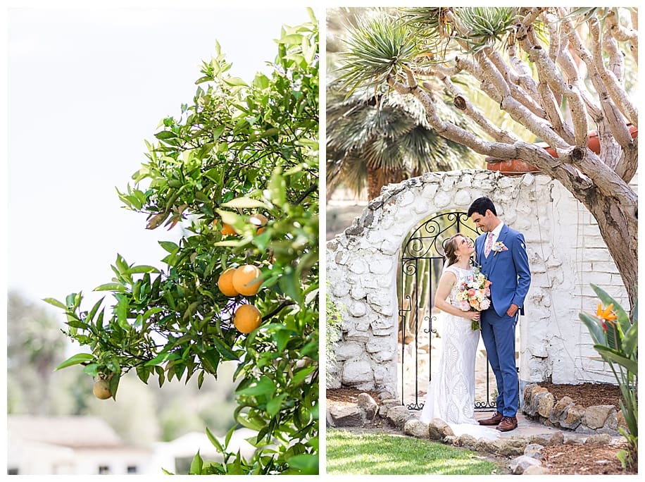 orange tree and bride and groom under white walled arch
